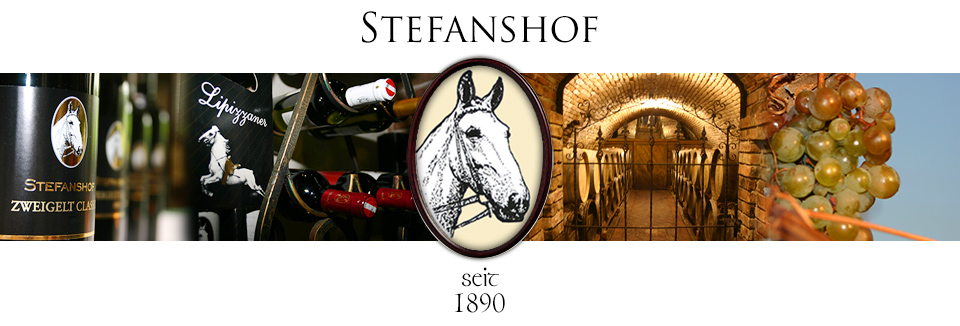 Logo Stefanshof