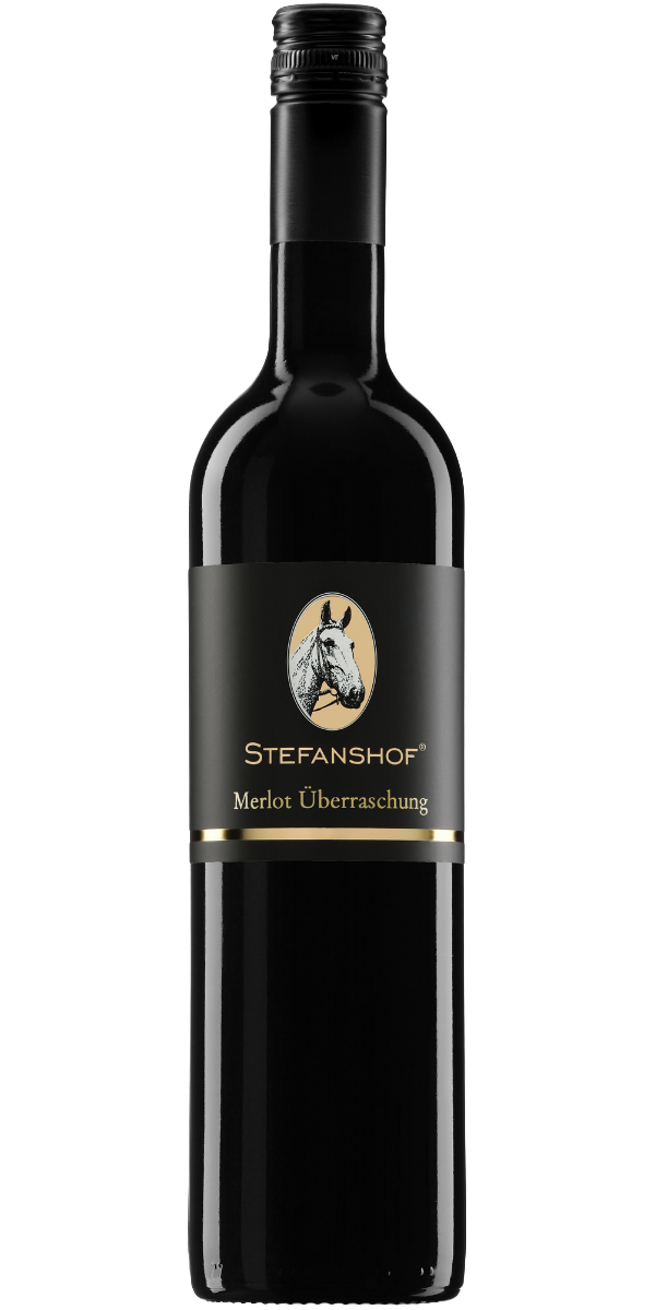 Rotwein Merlot Überraschung